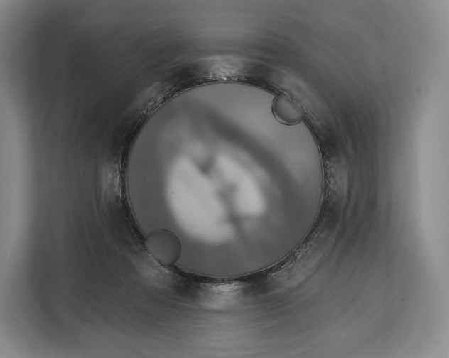 X0000113050313200909171546