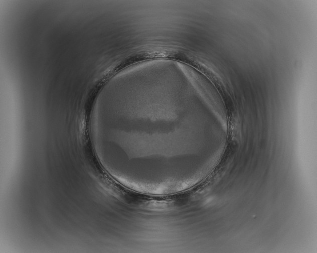 X0000113050314200909171546