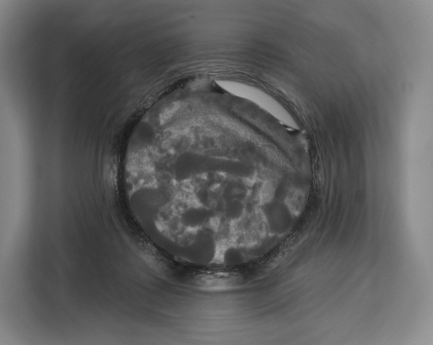 X0000113050315200909171546