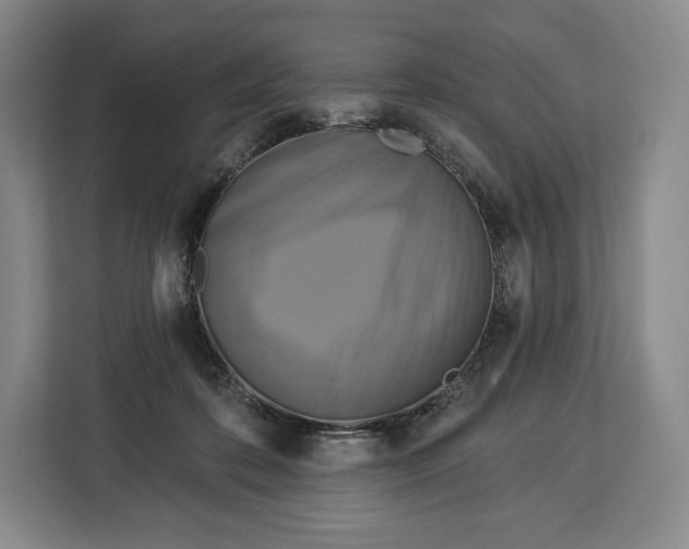 X0000113050316200909171546