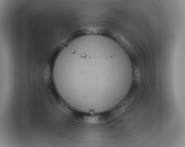 X0000113050318200909171546