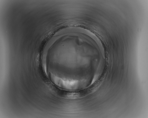 X0000113050319200909171546