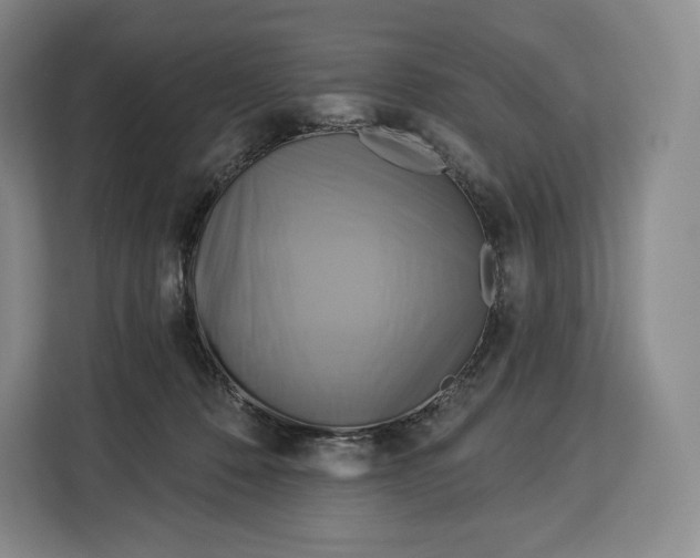 X0000113050320200909171546