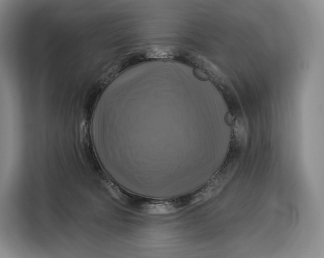 X0000113050322200909171546