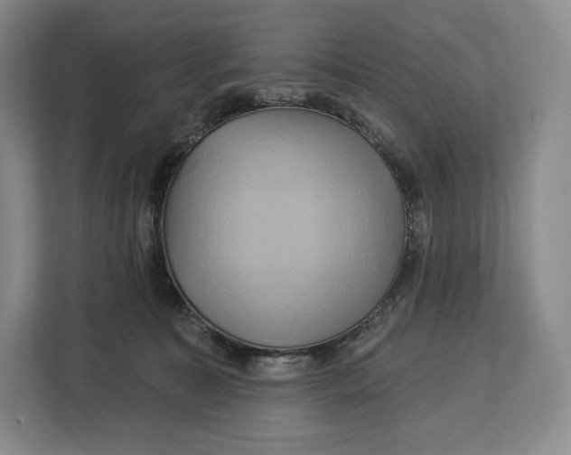 X0000113050323200909171546