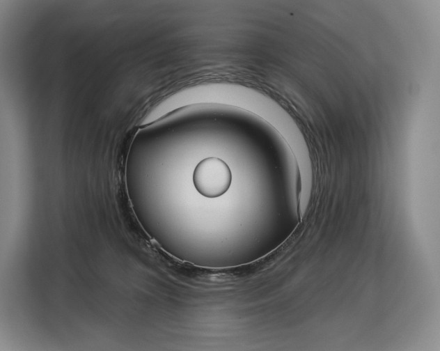 X0000113050324200909171546