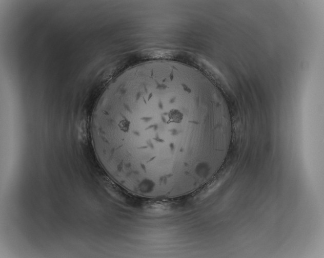 X0000113050325200909171546