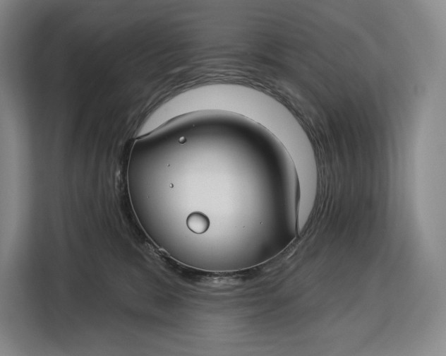 X0000113050327200909171546