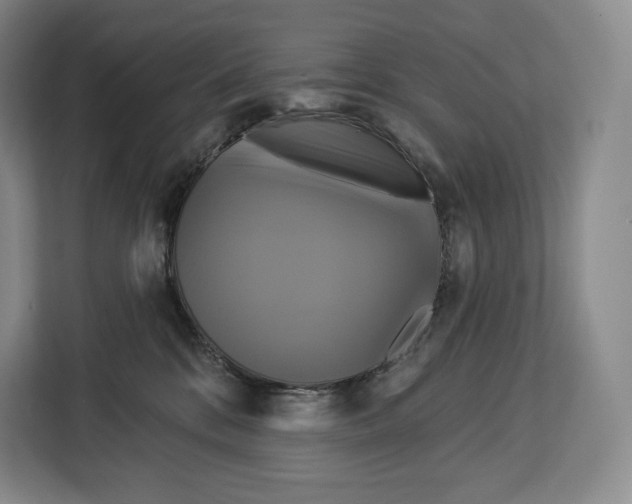 X0000113050328200909171546