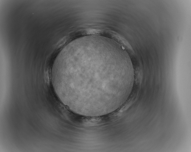 X0000113050329200909171546