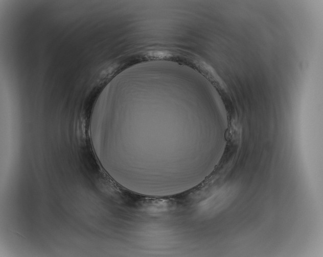 X0000113050330200909171546