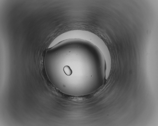 X0000113050332200909171546