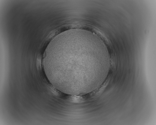 X0000113050333200909171546