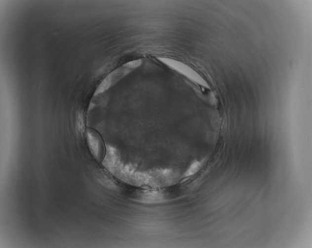 X0000113050335200909171546