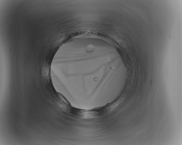 X0000113050336200909171546