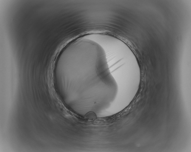 X0000113050337200909171545