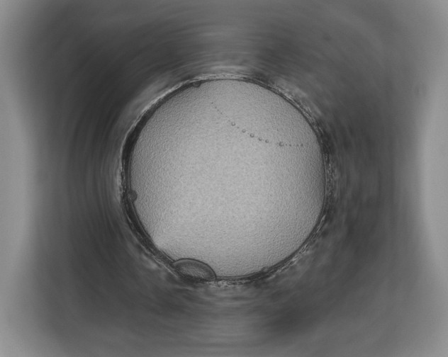 X0000113050338200909171545