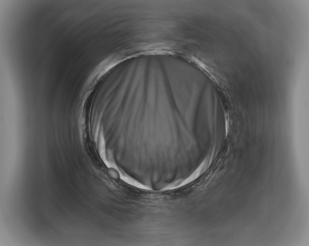 X0000113050339200909171545