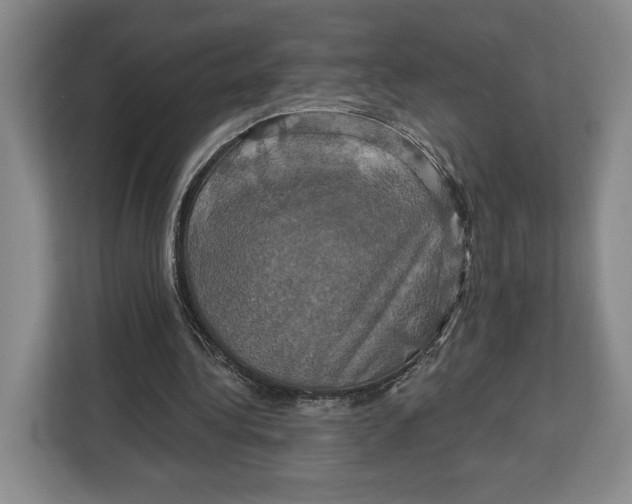 X0000113050340200909171545