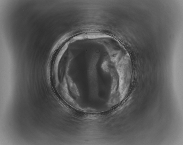 X0000113050341200909171545