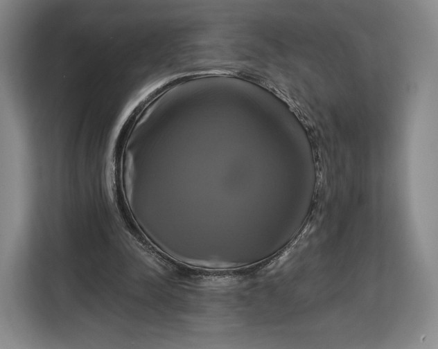 X0000113050342200909171545