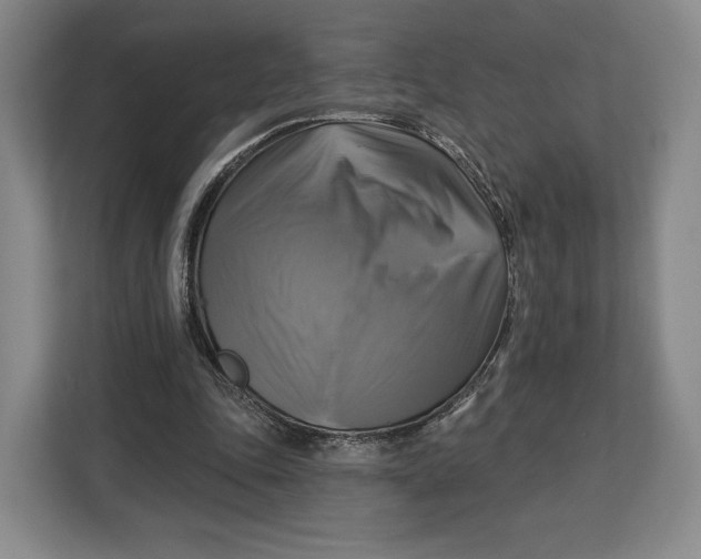 X0000113050343200909171545