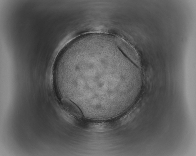 X0000113050344200909171545