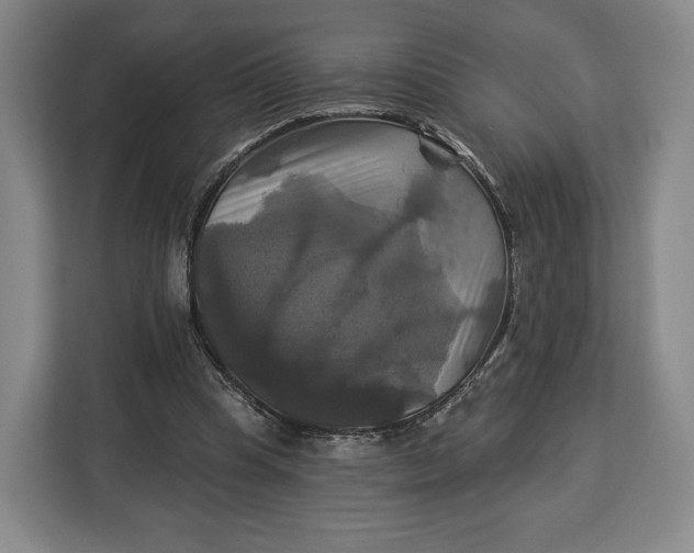 X0000113050345200909171545