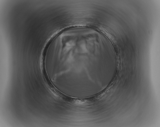 X0000113050346200909171545