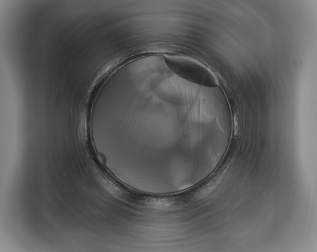 X0000113050349200909171545