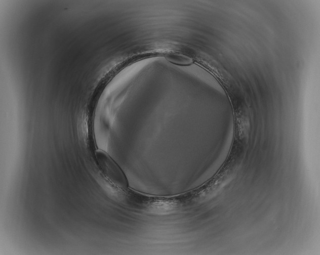 X0000113050350200909171545