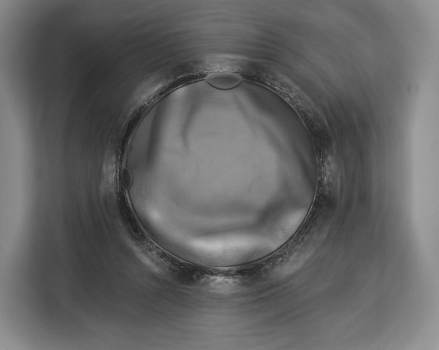 X0000113050352200909171545