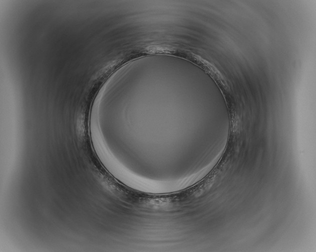 X0000113050353200909171545