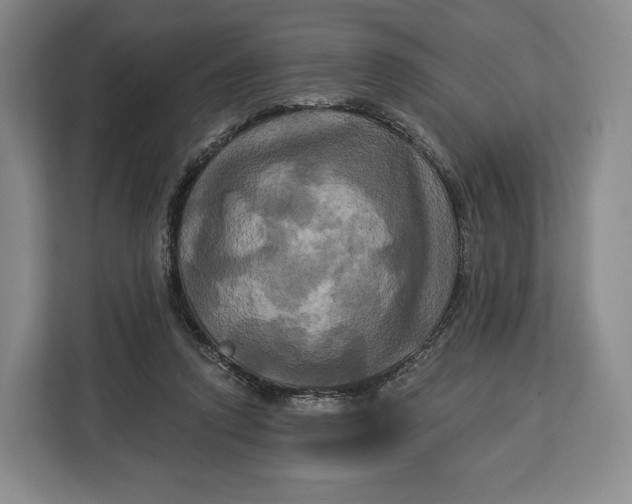 X0000113050354200909171545