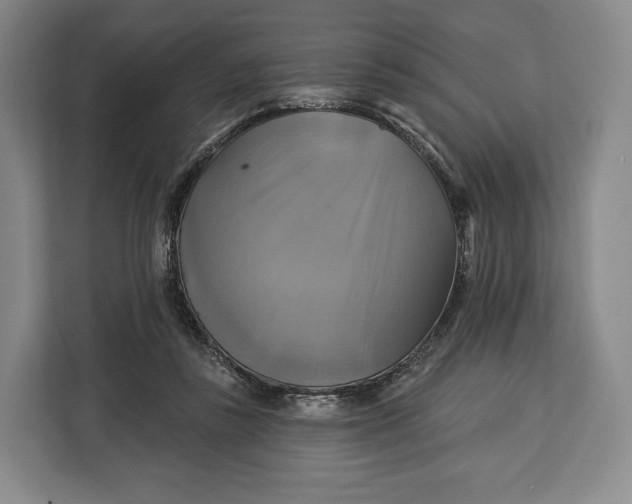 X0000113050355200909171545