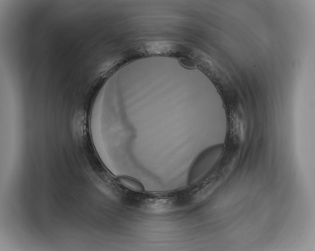 X0000113050356200909171545