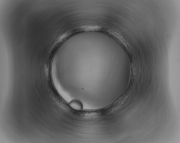 X0000113050357200909171545