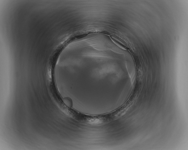 X0000113050358200909171545