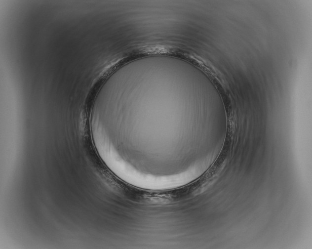 X0000113050359200909171546