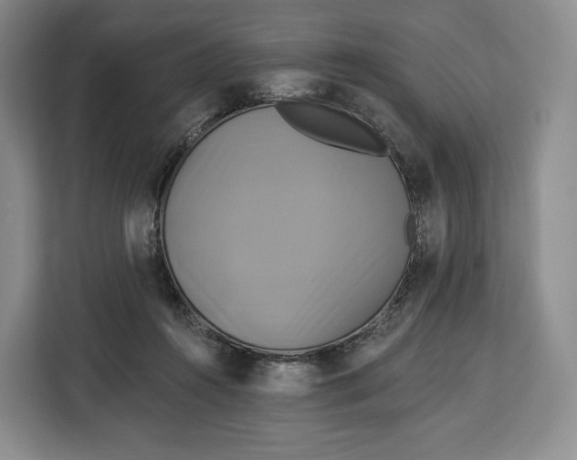 X0000113050360200909171546