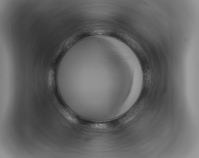 X0000113050361200909171546