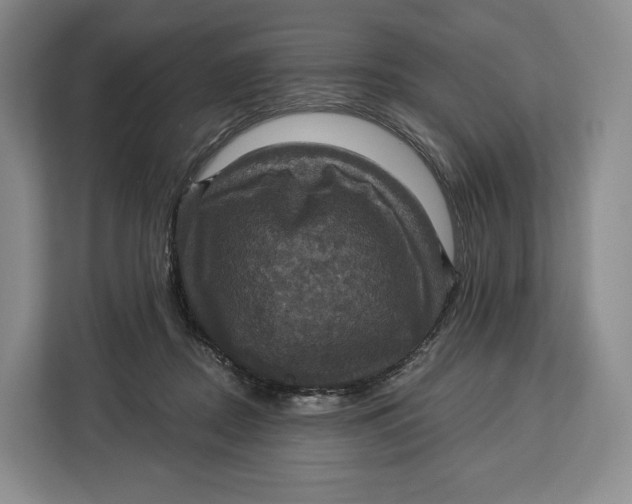 X0000113050362200909171546