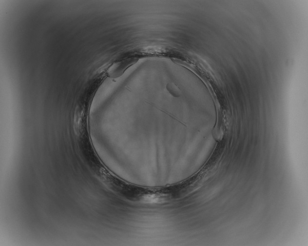 X0000113050364200909171546