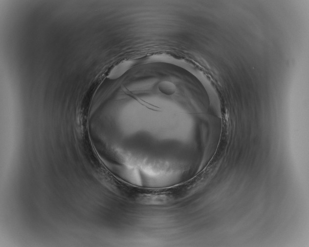 X0000113050366200909171546