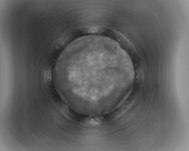 X0000113050368200909171546