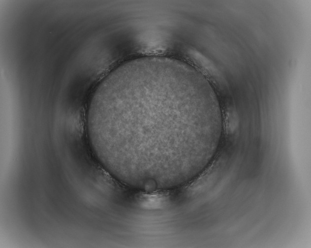 X0000113050370200909171546