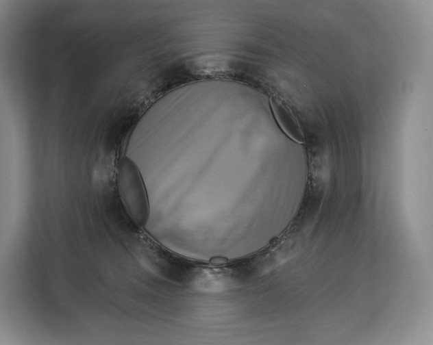 X0000113050372200909171546