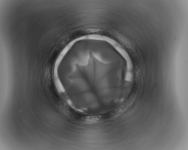 X0000113050373200909171546