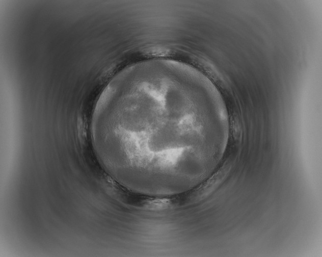 X0000113050374200909171546