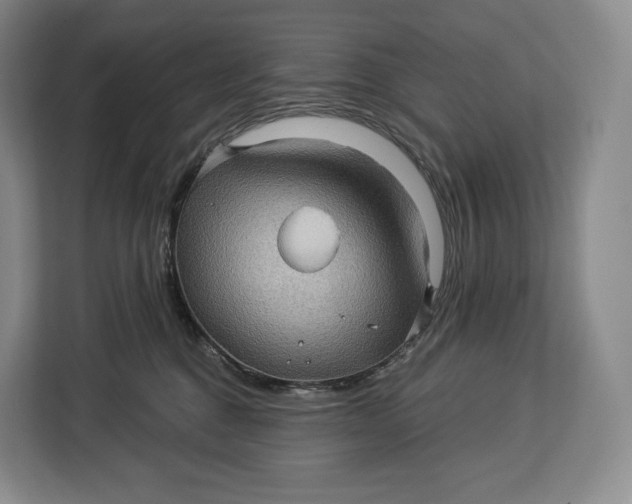 X0000113050376200909171546